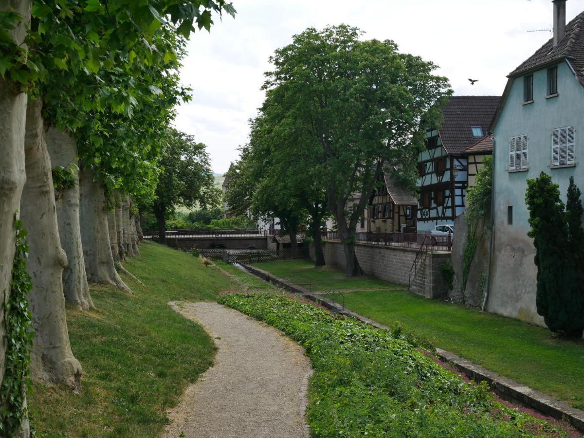 La Cour St-Fulrad - Les Suites Saint-Hippolyte  Esterno foto